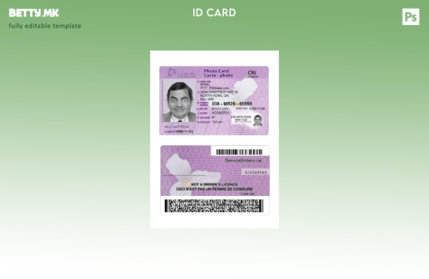 Модерен стил во Канада Онтарио Шаблон за фото картичка